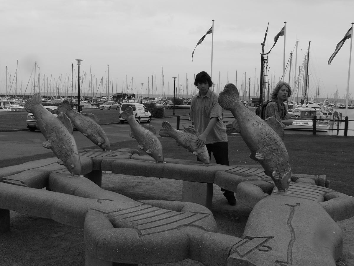 024 Cesta na sever   Dansko